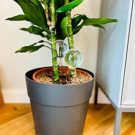 Ultracentral Lux Boutique 1br Ap Near Subway Διαμέρισμα Βουκουρέστι