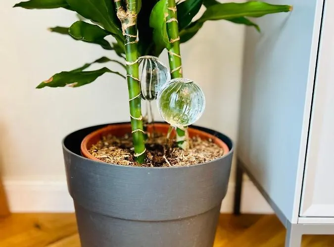 Ultracentral Lux Boutique 1br Ap Near Subway Apartamento Bucareste